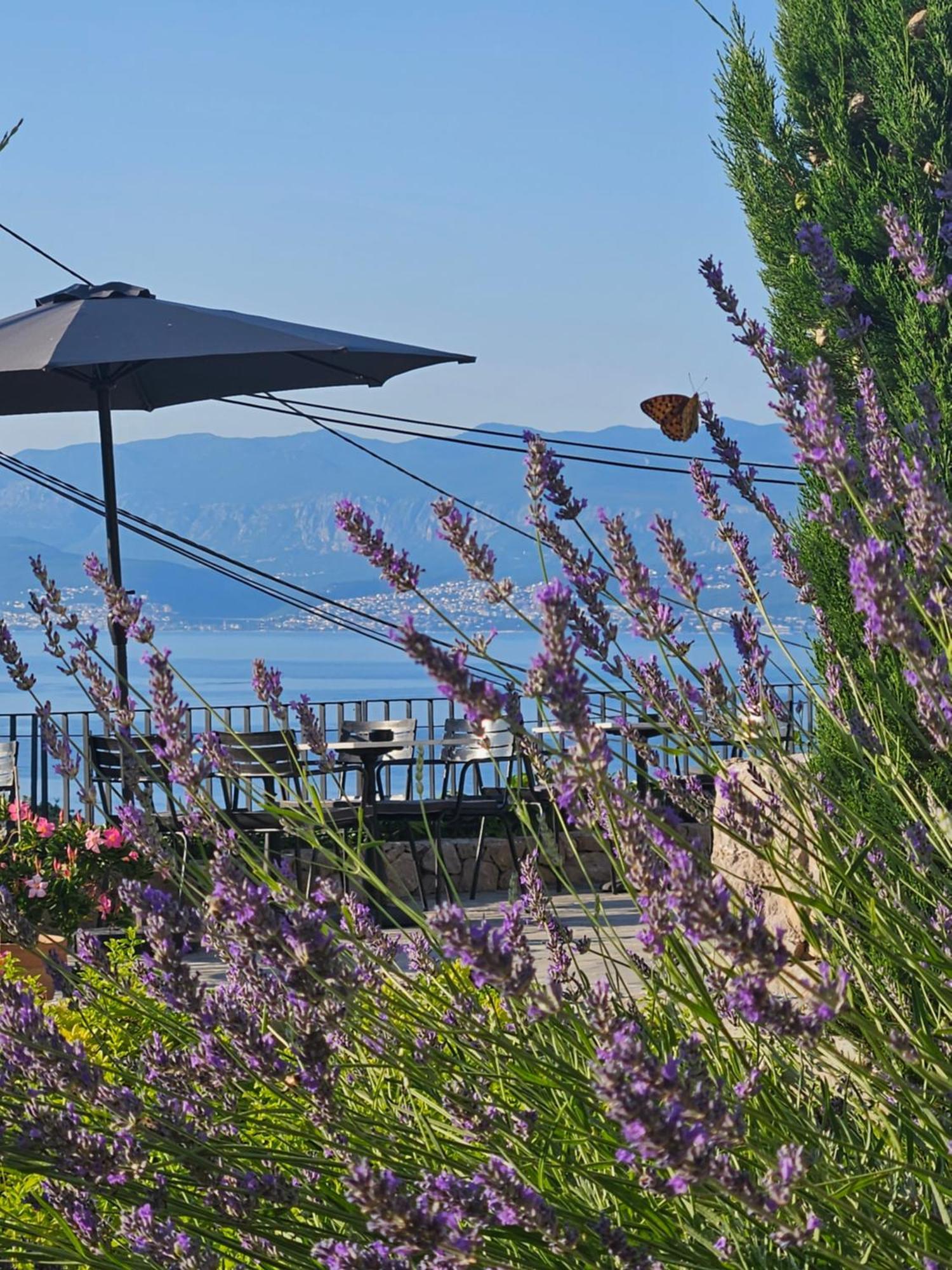 Hotell Design Verbenicum